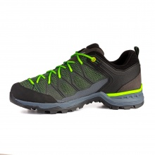 Salewa Wanderschuhe Mtn Trainer Lite GTX (Zustieg, wasserdicht) grün Herren